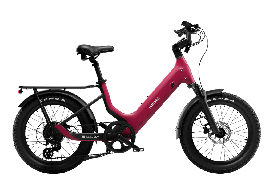 Joy Carbon